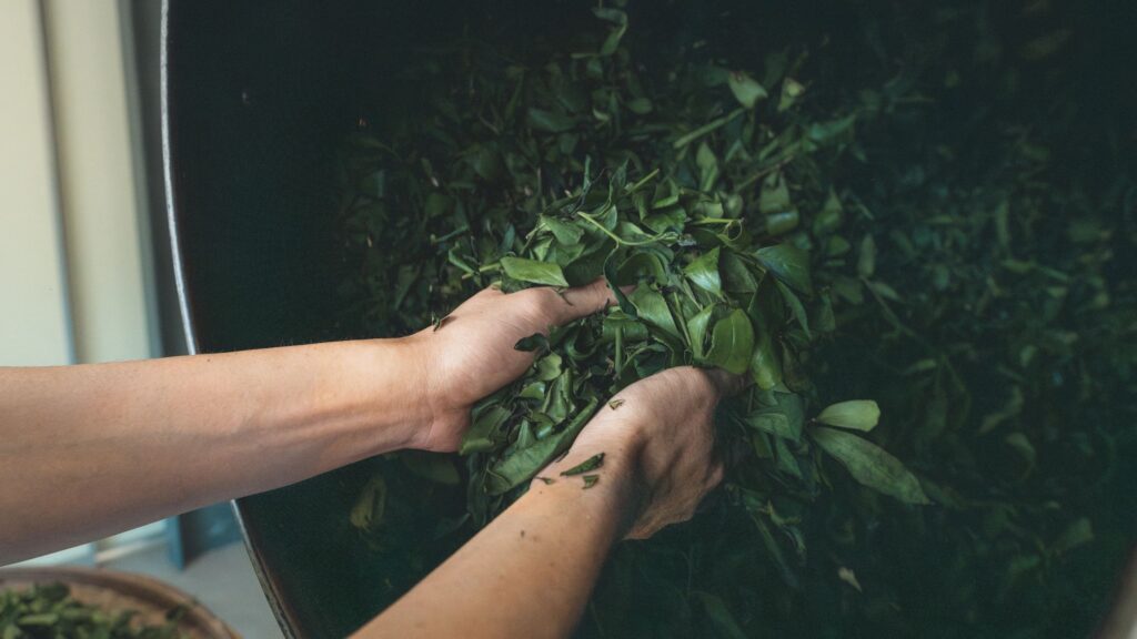 organic tea contact customer support eco-friendly