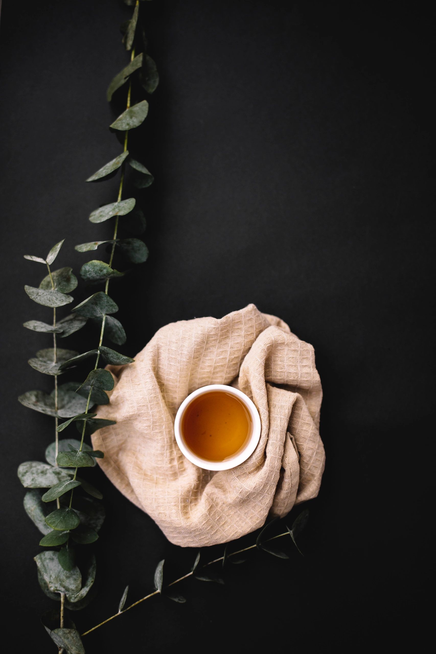 Orgaia organic tea branding modern packaging